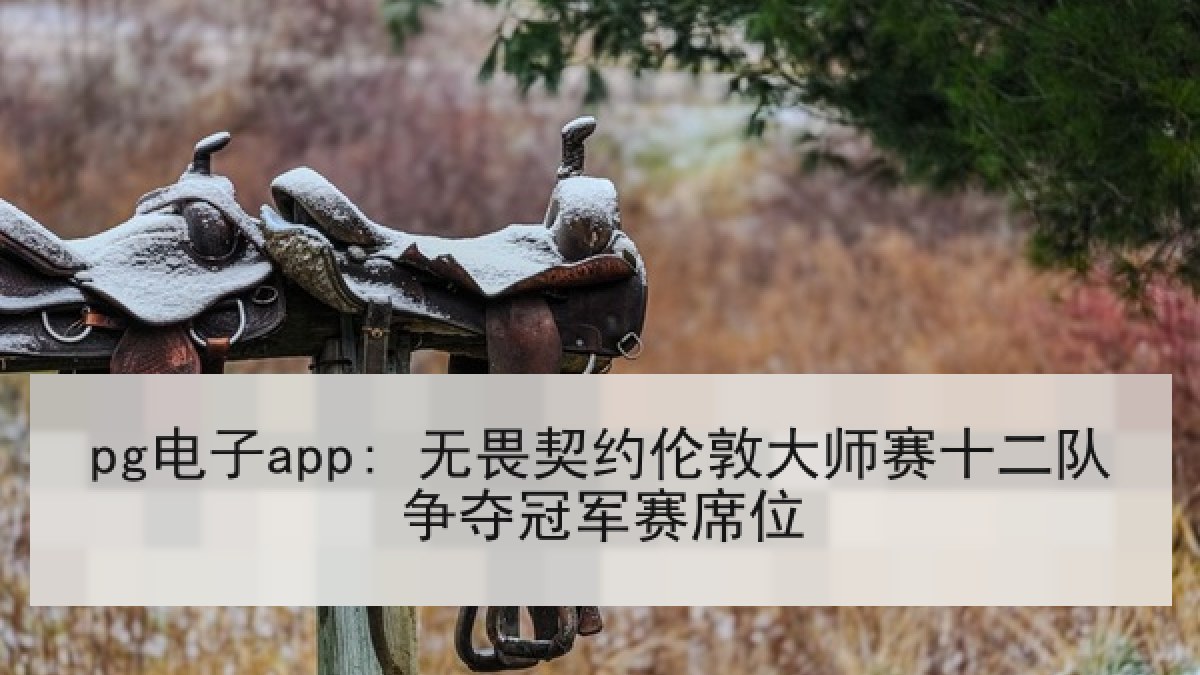 pg电子app: 无畏契约伦敦大师赛十二队争夺冠军赛席位