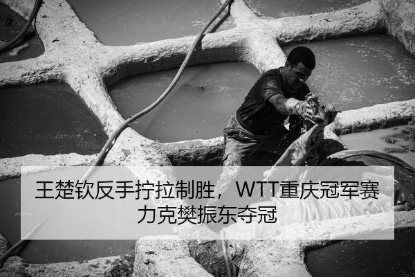 王楚钦反手拧拉制胜，WTT重庆冠军赛力克樊振东夺冠