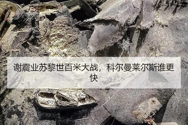 xie-zhen-ye-su-li-shi-bai-mi-da-zhan-ke-er-man-lai-er-si-shui-geng-kuai-2-541.jpg