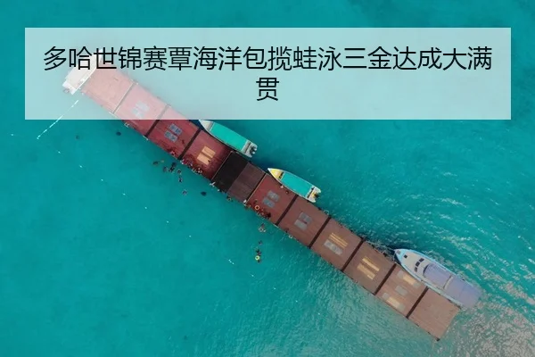 多哈世锦赛覃海洋包揽蛙泳三金达成大满贯
